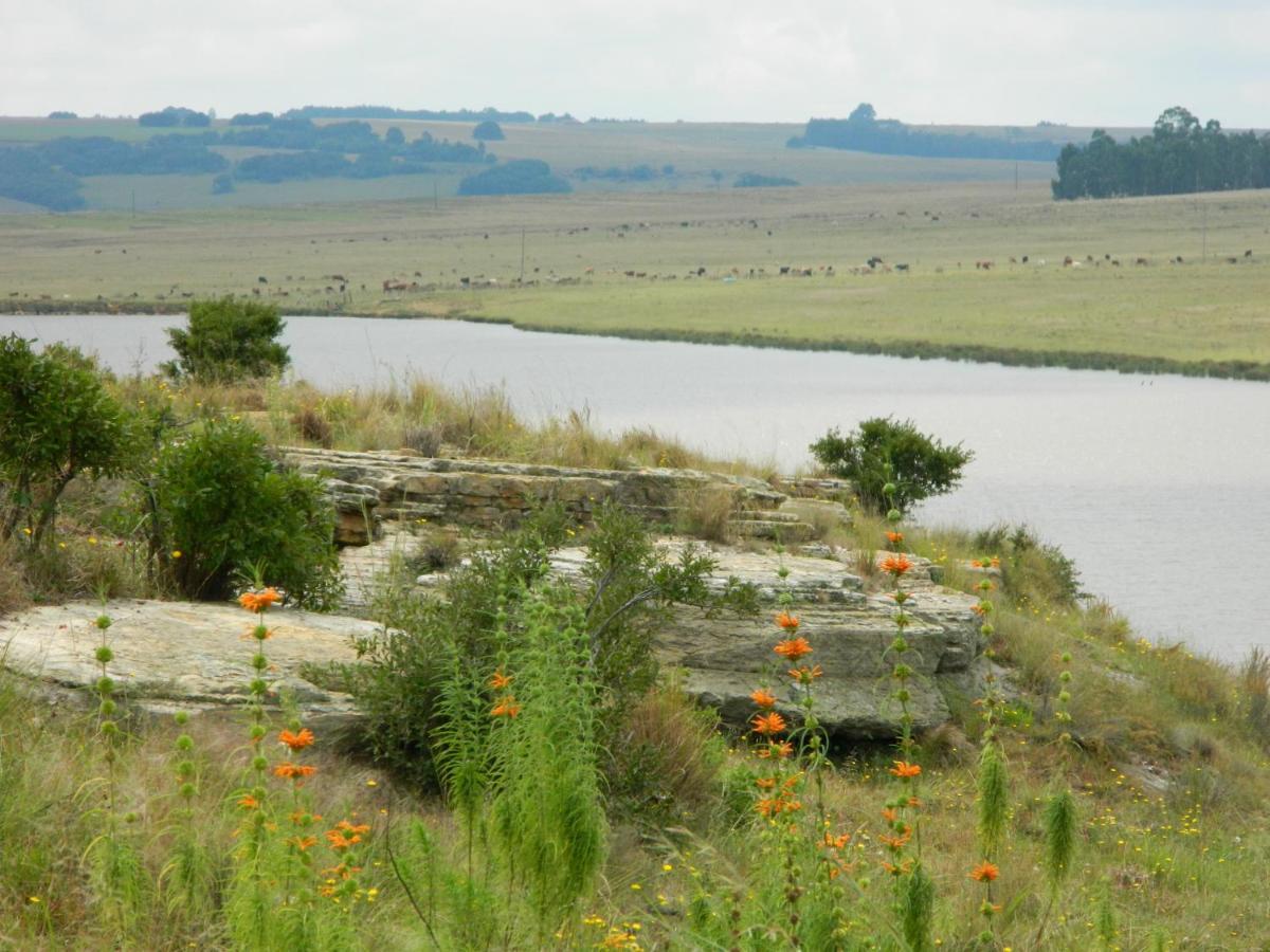 La Vista Farm Stay Ermelo Kültér fotó