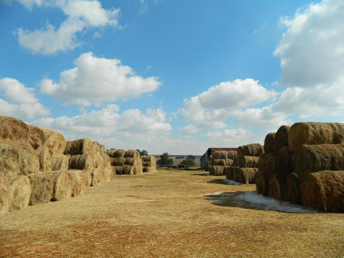 La Vista Farm Stay Ermelo Kültér fotó