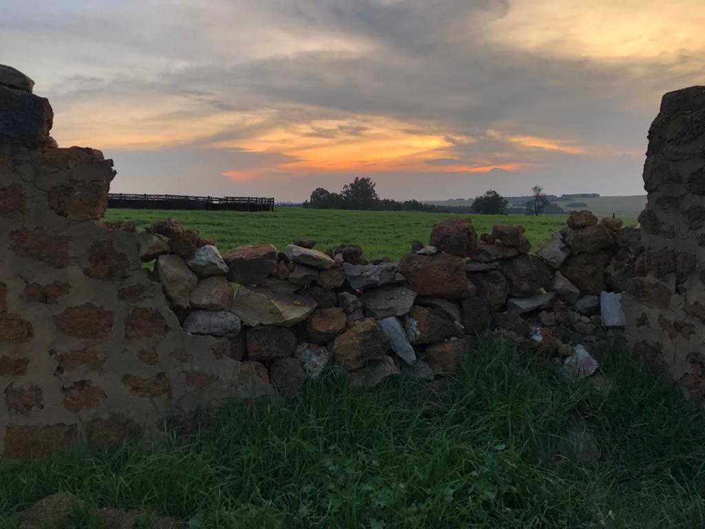 La Vista Farm Stay Ermelo Kültér fotó