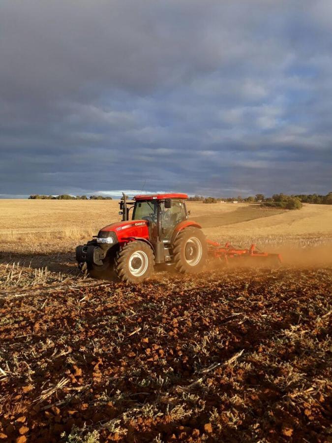 La Vista Farm Stay Ermelo Kültér fotó