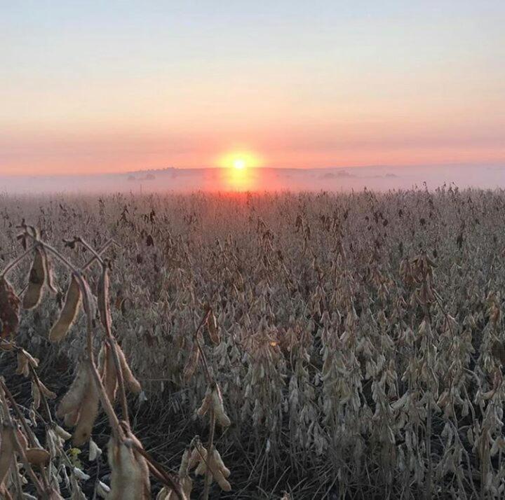 La Vista Farm Stay Ermelo Kültér fotó