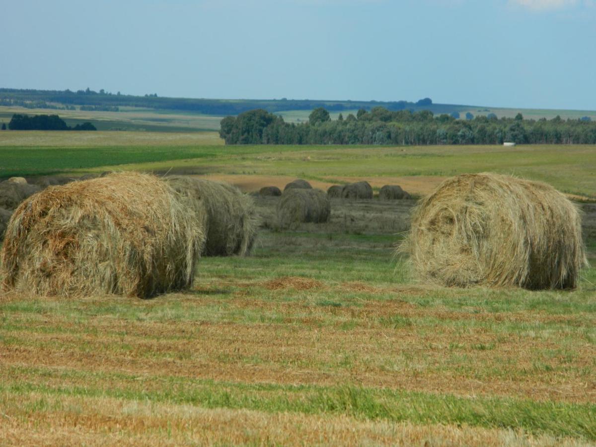 La Vista Farm Stay Ermelo Kültér fotó